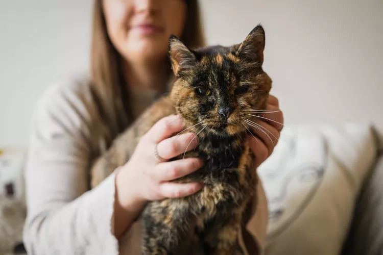 Flossie, the world’s oldest cat, celebrates milestone birthday, defying all odds