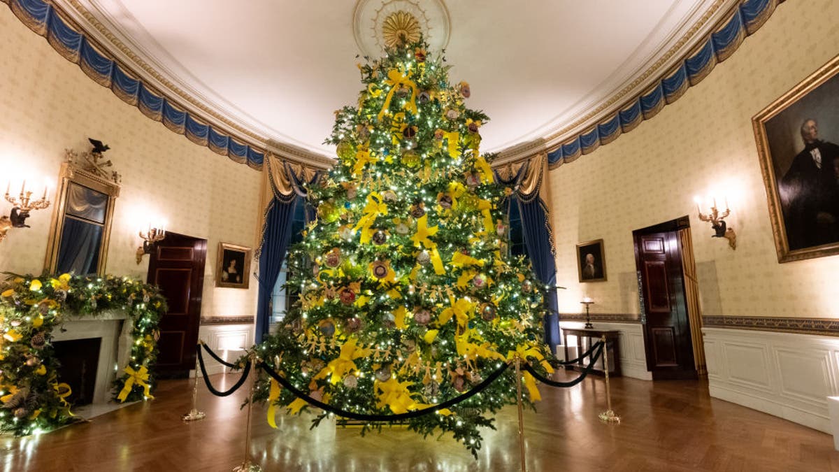 The Blue Room of the White House is seen decorated for the Christmas season, Nov. 29, 2020.Â