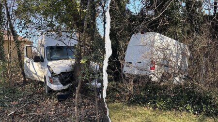 ICE agents open fire on van driver who allegedly tried to run them over on Christmas Eve