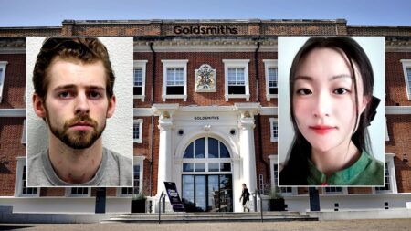 Chicago man accused of stabbing, choking UK woman then calling dad for lawyer found guilty of murder