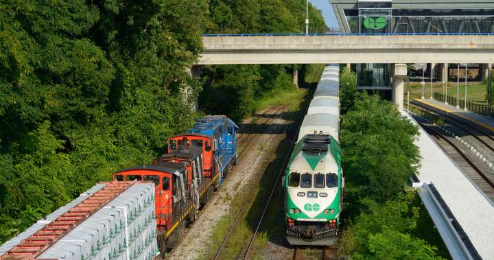 Metrolinx probing electrocution of dog at Hamilton’s West Harbour GO
