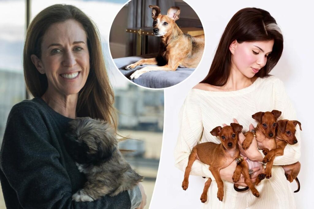 Exclusive | I spent $50K cloning my dead dog — here’s what it’s like having a duplicated pup