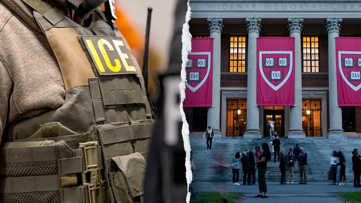 ICE agent and Harvard flags split image