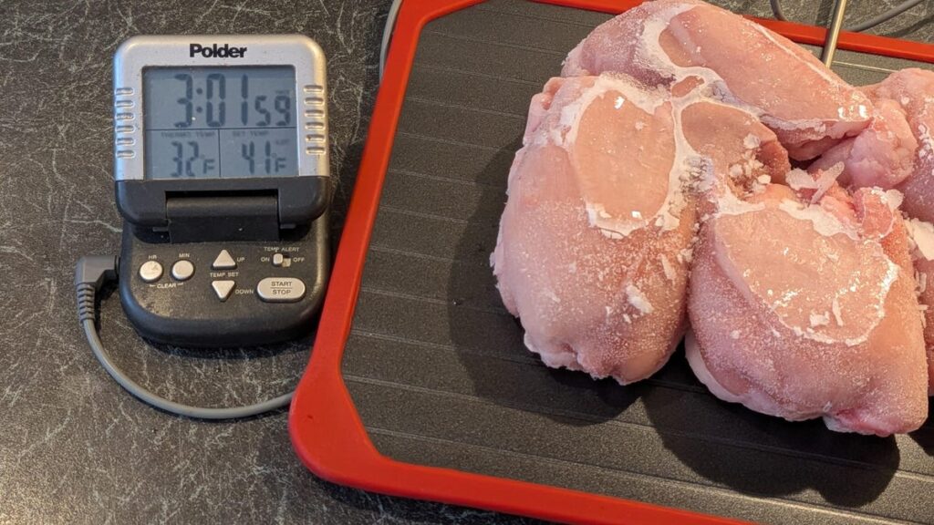 Do Defrosting Trays Work? More Importantly, Are They Safe?