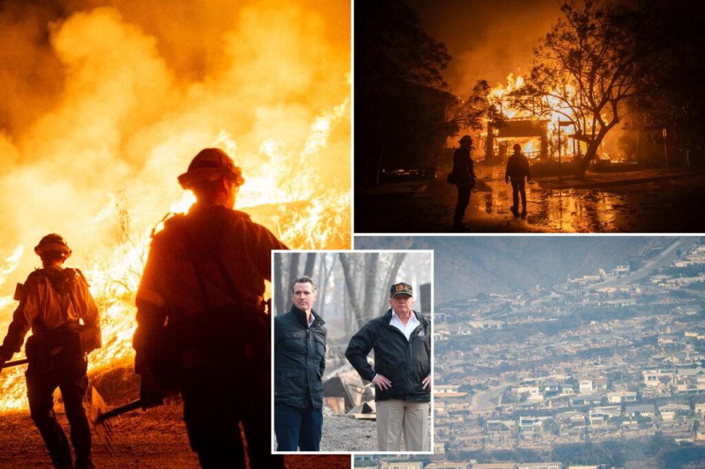 White House slams Newsom after gov claims Trump admin turned down LA wildfire aid meeting: ‘No idea what he’s talking about’