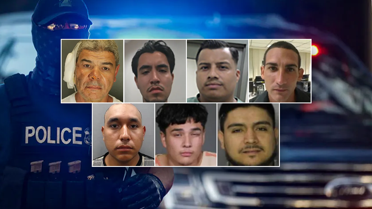 Most violent illegal aliens arrested in 2025