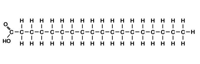 This image shows the chemical structire of a saturated fat. It has a spine of C (carbon) molecules, with H (hydrogen) ones attached to both sides of the Cs, plus some oxygens at one end.