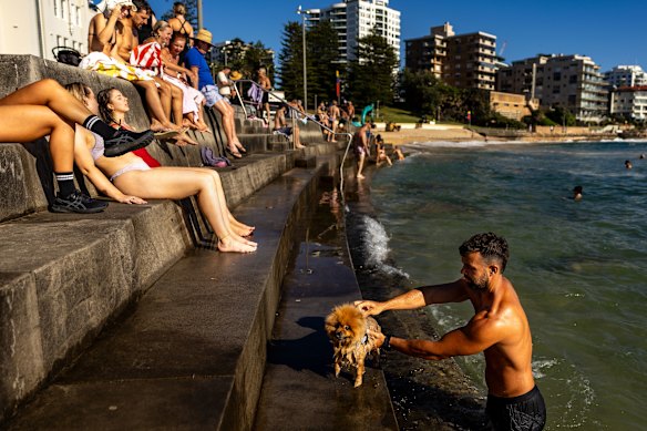 Sydneysiders cool off at Cronulla Beach during the December heatwave.