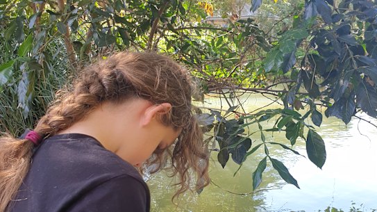 Nikki Green and her daughter Pixie decided to start home-schooling.