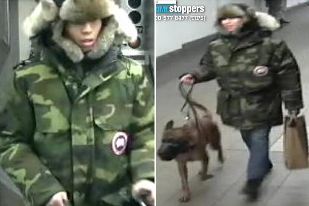 Brute sicced dog on stranger during dispute in NYC subway station: cops