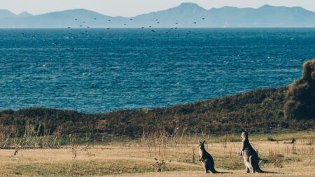 Tourists duped by AI after searching for hot springs that don’t exist