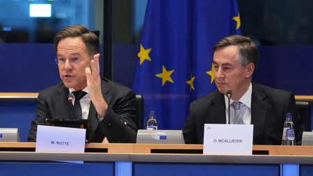 'Trump is very important for NATO,' alliance's chief says