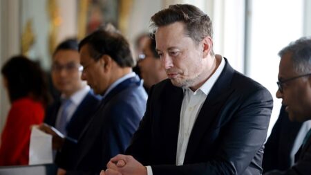 EU Commission examines childlike sexual images created by Musk’s AI
