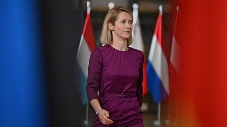 Shift in EU-US relations is 'structural, not temporary', Kallas warns