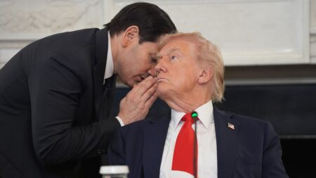 Trump hails Rubio as diplomatic mentor as secretary of state's power grows