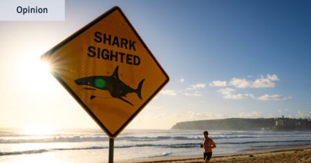 If a summer of sharks restores our respect for the ocean, that’s no bad thing