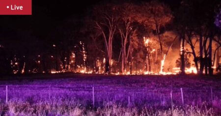 Avenel, Upton Hill, Locksley, Longwood, Ruffy evacuated as Longwood fire intensifies and large stretches of Hume Freeway closed; Entire state given extreme bushfire rating for Friday as wind gusts, temperatures pose risk to life