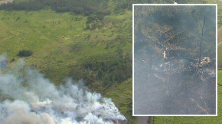 two dead after they were trapped in cockpit