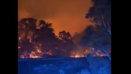 Fire brigade shares video of bushfire