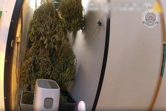 An alleged cannabis drying room in the underground bunker. 