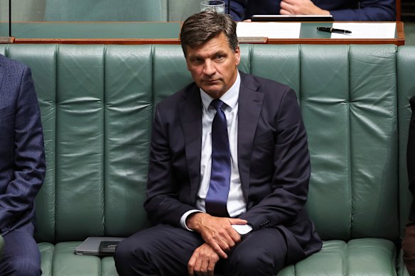 Angus Taylor: Is this the time to be flying high?