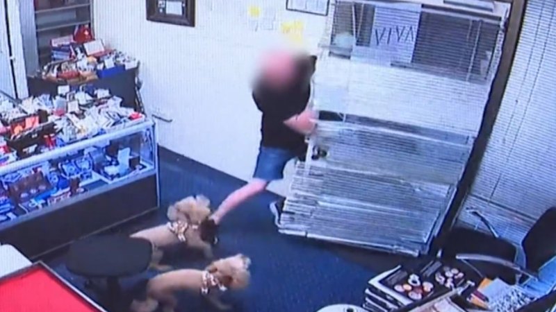 Queensland man dramatically defends his store from thieves