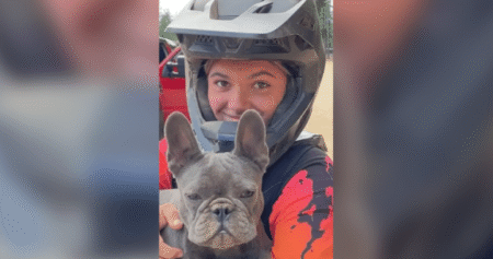 Dingoes found circling B.C. teen to be culled, Australia says