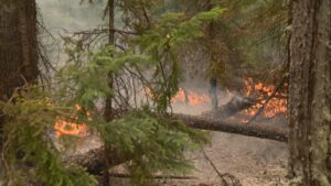 2025 year in review: Saskatchewan wildfires