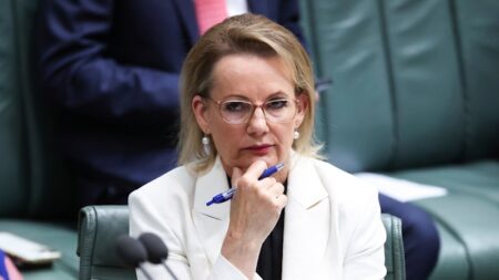 Parties’ childish behaviour was bound to end in tears