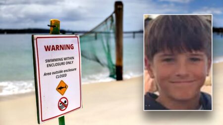 Boy, 12, dies after shark attack while swimming at popular cliff-jumping spot: 'We are heartbroken'