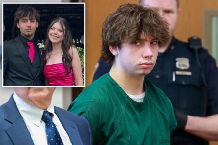 LI’s ‘puppy-love killer’ too loony for trial for at least a year: judge