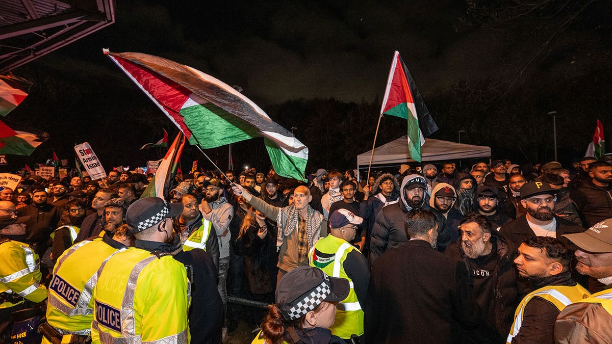 Local supporters and pro-Palestine activists protest at Villa Park