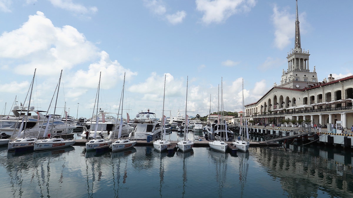 several sailboats docked at port city