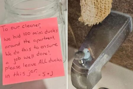 ‘Humiliated’ cleaner quits after bosses run bizarre task to test her work ethic