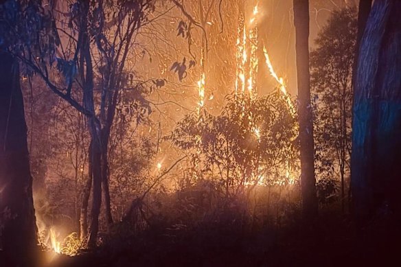 The Carlisle River bushfire on Saturday.