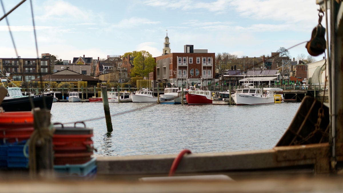 Boats docked in a harbor in Gloucester, Mass.