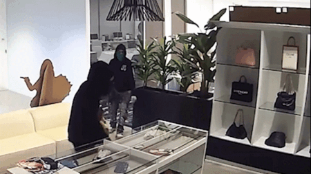 Massive luxury handbag heist caught on camera as heavily armed police swarm California store
