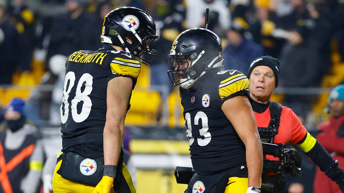 Steelers celebrate touchdown