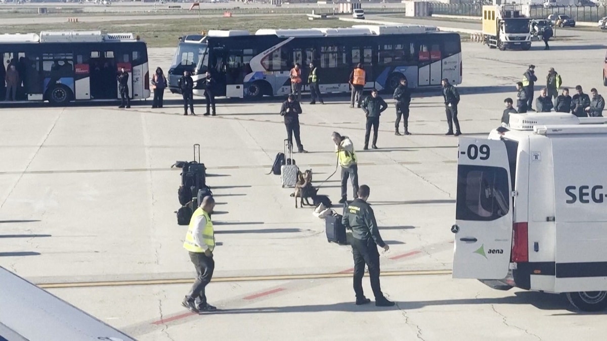 k9 units inspects many luggages