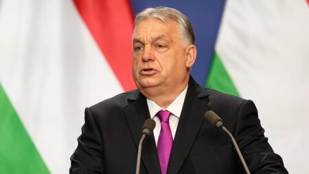 Orbán to hold consultations with Fico, attacks 'liar' Zelenskyy