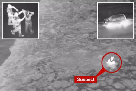 Swim-witted car thief tries to ditch California cops by diving into ocean