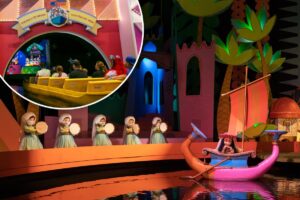 Disney World facing claims of dangerous black mold infestation found on beloved attraction: ‘The magic is lost’