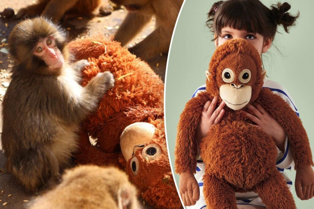 Adorable IKEA toy sells out after heartbreaking viral monkey moment — with eBay listings soaring as high as $350