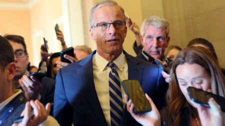 Thune guarantees voter ID bill to hit the Senate despite Schumer, Dem opposition: 'We will have a vote'