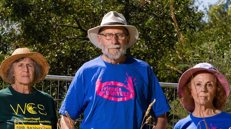 Community fury as wildlife crossing promise broken for $26b toll road