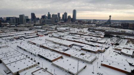 Judge holds DHS officials in contempt, orders compensation to Mexican national released in winter storm