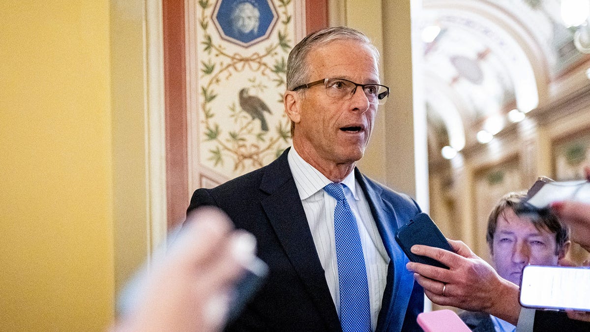 Senate Majority Leader John Thune, R-S.D.