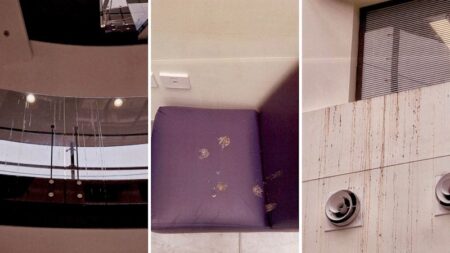 Patient safety concerns raised over pigeon infestations at Tamworth, Wollongong, and Royal Prince Alfred hospitals