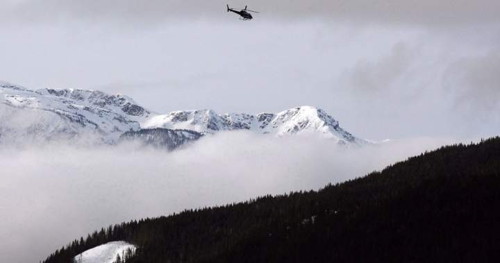 Heli-skier dies in avalanche near Revelstoke, B.C.