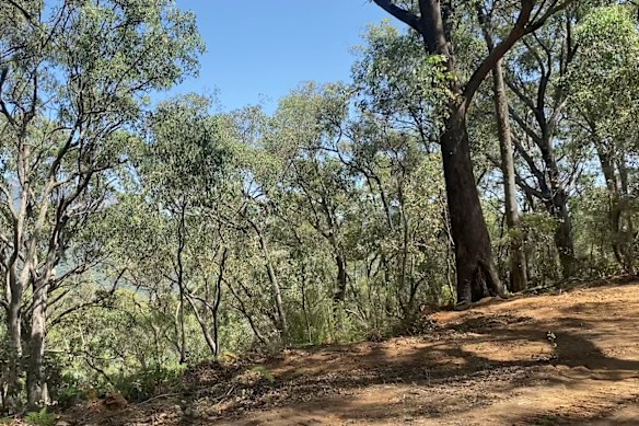 Part of the area where police will this week search for Freeman.